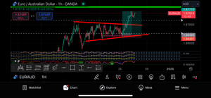 1-Year Premium Forex Signals – Best Forex Pips VIP | US30, NAS100, Gold & FX Pairs